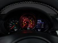 Techart Porsche 981 Boxster (2012) - picture 5 of 5