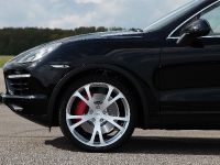 TECHART Porsche Cayenne II (2011) - picture 4 of 11