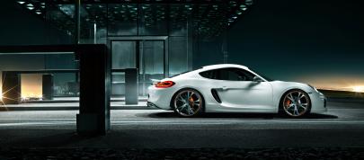 TECHART Porsche Cayman (2013) - picture 4 of 7