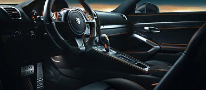 TECHART Porsche Cayman (2013) - picture 7 of 7