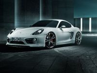 TECHART Porsche Cayman (2013) - picture 2 of 7