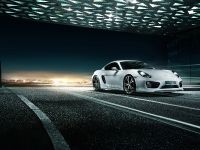 TECHART Porsche Cayman (2013) - picture 3 of 7