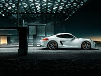 TECHART Porsche Cayman (2013) - picture 4 of 7