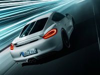 TECHART Porsche Cayman (2013) - picture 5 of 7