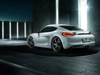 TECHART Porsche Cayman (2013) - picture 6 of 7