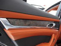 TECHART Porsche Panamera (2009)