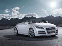 Audi TT Clubsport Quattro (2008) - picture 1 of 7