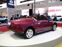 Tongji Auto Shanghai (2013) - picture 3 of 3