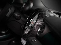 TopCar MINI Cooper S Bully (2014) - picture 18 of 20