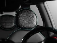 TopCar MINI Cooper S Bully (2014)