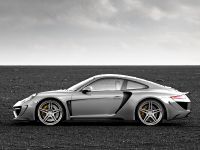 TopCar Porsche 911 (2011) - picture 2 of 3