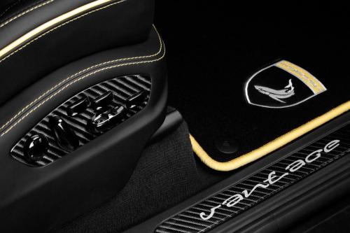 TopCar Porsche Cayenne II Vantage Carbon Edition (2011) - picture 24 of 25