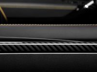 TopCar Porsche Cayenne II Vantage Carbon Edition (2011) - picture 21 of 25