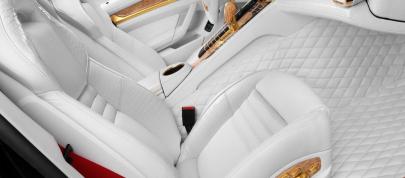 TopCar Porsche Panamera Turbo S (2011) - picture 7 of 22