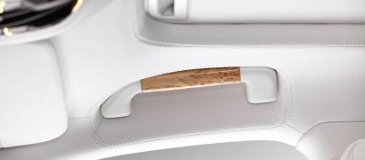 TopCar Porsche Panamera Turbo S (2011) - picture 12 of 22