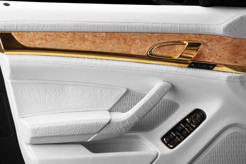 TopCar Porsche Panamera Turbo S (2011) - picture 8 of 22