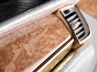 TopCar Porsche Panamera Turbo S (2011) - picture 19 of 22