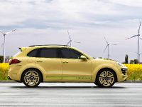 TopCar Vantage 2 Lemon Porsche Caynne II (2012) - picture 10 of 23