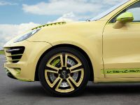 TopCar Vantage 2 Lemon Porsche Caynne II (2012) - picture 11 of 23
