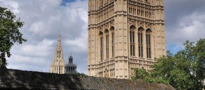 Toyota and EDF (2008) - picture 4 of 6