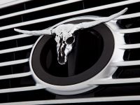 Toyota B and D Tundra Tailgater (2009) - picture 2 of 6