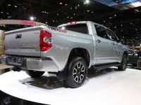 Toyota Tundra Platinum Chicago (2013) - picture 6 of 6