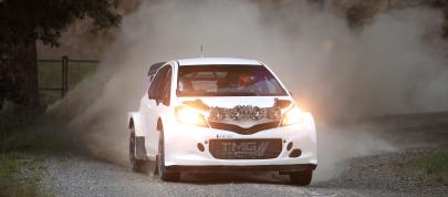 Toyota Yaris WRC (2015) - picture 12 of 15