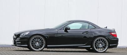 Vath Mercedes R172 SLK 350 (2012) - picture 4 of 7