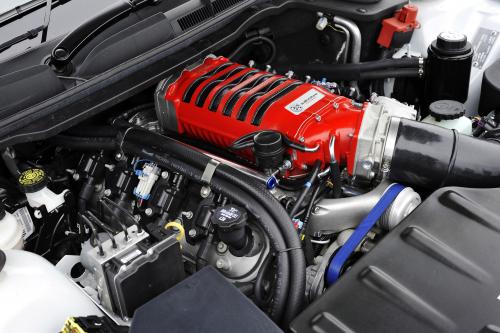 Vauxhall VXR8 Bathurst S Edition (2009) - picture 9 of 10