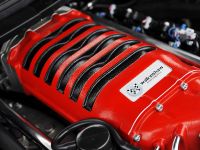 Vauxhall VXR8 Bathurst S Edition (2009) - picture 10 of 10