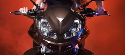 Vilner Aprilia Stingray (2013) - picture 4 of 19