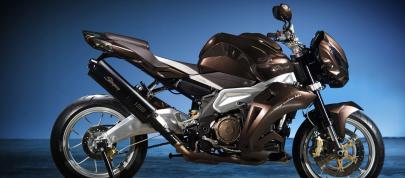 Vilner Aprilia Stingray (2013) - picture 7 of 19