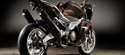 Vilner Aprilia Stingray (2013) - picture 12 of 19