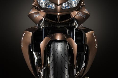 Vilner Aprilia Stingray (2013) - picture 1 of 19