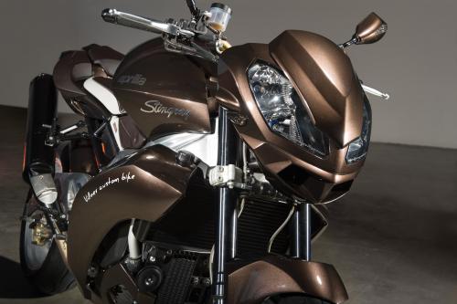 Vilner Aprilia Stingray (2013) - picture 16 of 19