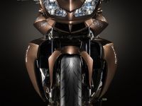 Vilner Aprilia Stingray (2013) - picture 1 of 19