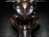 Vilner Aprilia Stingray (2013) - picture 2 of 19