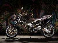 Vilner Aprilia Stingray (2013)