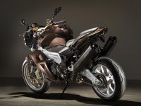 Vilner Aprilia Stingray (2013) - picture 11 of 19