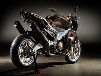Vilner Aprilia Stingray (2013)
