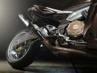 Vilner Aprilia Stingray (2013)