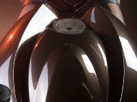 Vilner Aprilia Stingray (2013) - picture 19 of 19