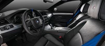 Vilner BMW 5-Series and Mercedes-Benz E-Class (2014) - picture 7 of 11