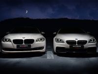 Vilner BMW 5-Series F10 (2013) - picture 1 of 11