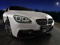 Vilner BMW 6-Series M F12 (2013) - picture 2 of 17