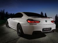 Vilner BMW 6-Series M F12 (2013) - picture 4 of 17