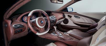 Vilner BMW Bullshark (2013) - picture 15 of 45