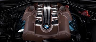 Vilner BMW Bullshark (2013) - picture 44 of 45