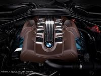 Vilner BMW Bullshark (2013)