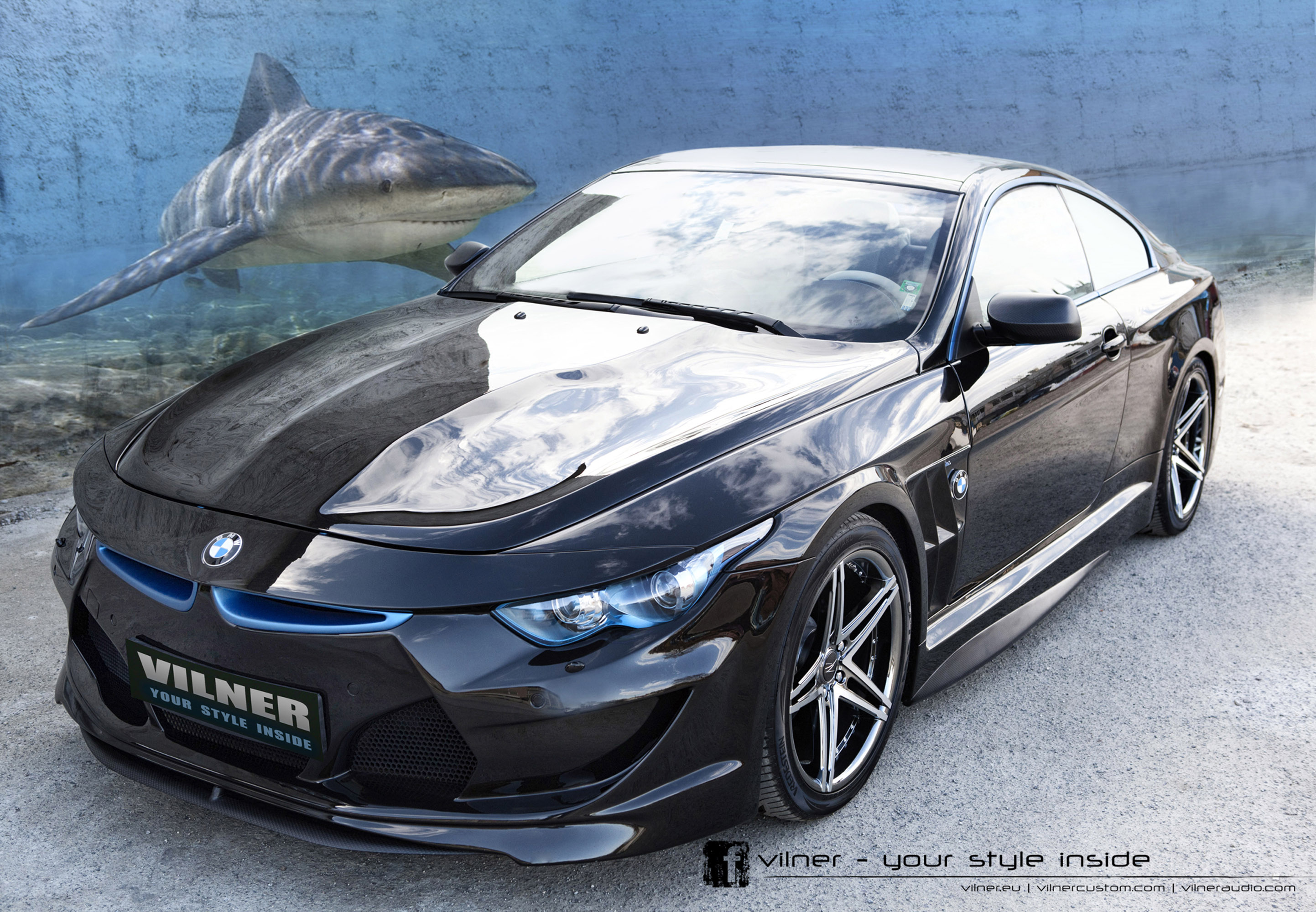 Vilner BMW Bullshark